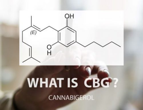 The Complete Guide to CBG: Everything You Need to Know
